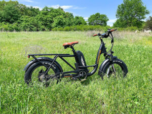 Cargo Electric Bikes