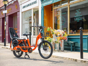 Cargo Electric Bikes