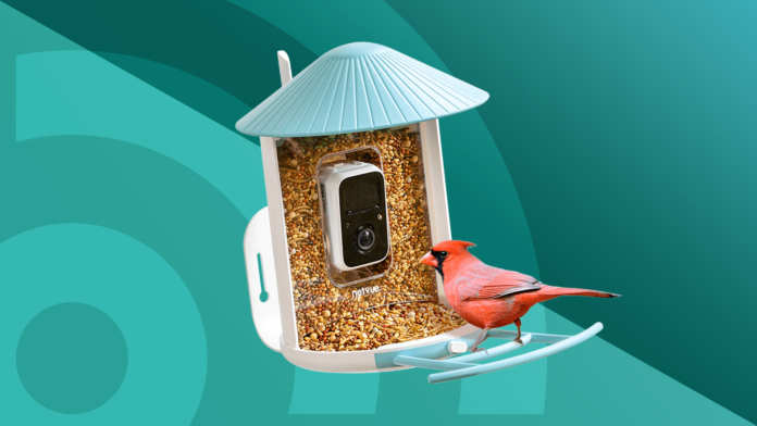 Top Bird Feeder Cameras